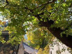 -潭柘寺景区