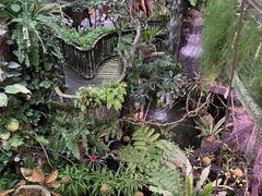 -正佳雨林生态植物园