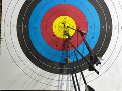 -蓝天射箭馆·专业射箭运动(诚丰广场店)