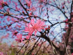 -白塘生态植物园