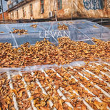 1集：这个不是国外的小镇，是惠州的小镇[调皮]