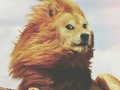 -镇江龙·火锅串串(武侯祠店)