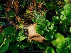 -苏州河梦清园环保主题公园