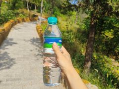 -白水寺森林公园