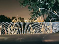 -Sirena海妖日咖夜酒