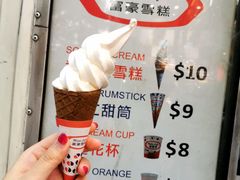 -富豪雪糕车流动点(尖沙咀店)