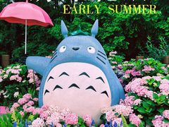 -上海滨江森林公园