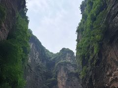 -王莽岭风景区