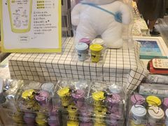-猫的天空之城概念书店(丽江古城饮玉巷店)