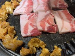 -猫爪爪原切自助烤肉(观音桥阳光世纪店)