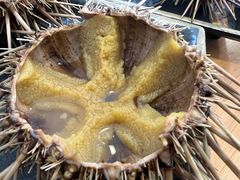 -海胆小馆(东北水饺·春柳店)