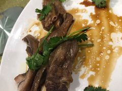 鹅掌翼-牛恒濑粉
