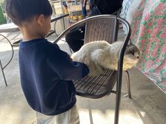-小鱼草莓采摘园农家乐·小鱼餐厅