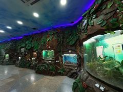-上海大自然野生昆虫馆(东方明珠·爬宠昆虫探索中心)