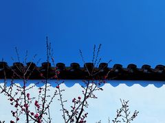 -中国昆曲博物馆