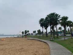 -柳湖沙月沙滩公园