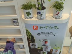 -大树餐厅(环球港店)