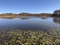 -塞罕坝国家级自然保护区