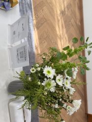 -HEYAN荷妍专业脱毛连锁机构