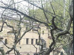 -毛辣果·酸(OHA复兴西路店)