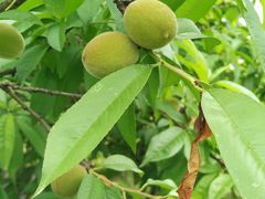 -白塘生态植物园