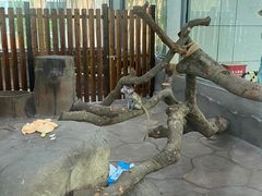 -宁波野生动物园