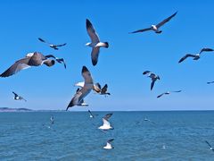 -悦海公园