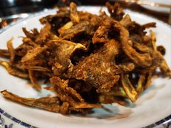 -都江堰石锅鱼