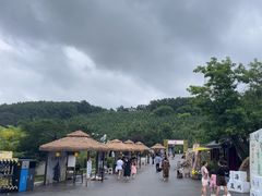 -《神游传奇》秀