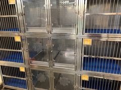 -特一安24小时宠物医院·骨科·中兽医