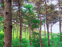 -沈阳辉山风景区