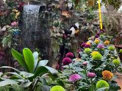 -正佳雨林生态植物园