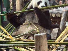 -栾川竹海野生动物园