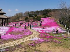 -棒棰岛宾馆景区