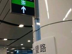 -大望路(地铁站)