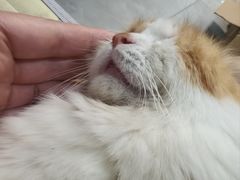 -樱花糕坊(万松园店)