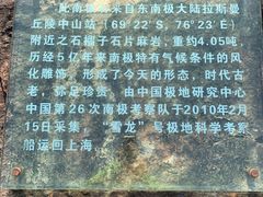 -吴淞炮台湾湿地森林公园烧烤区