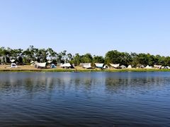 -春花秋色城市公园