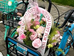 -巴奴毛肚火锅(大剧院店)