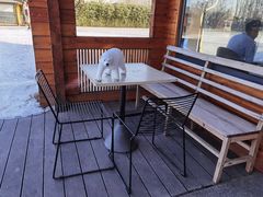 -禧宴Joyous Restaurant(禧园店)