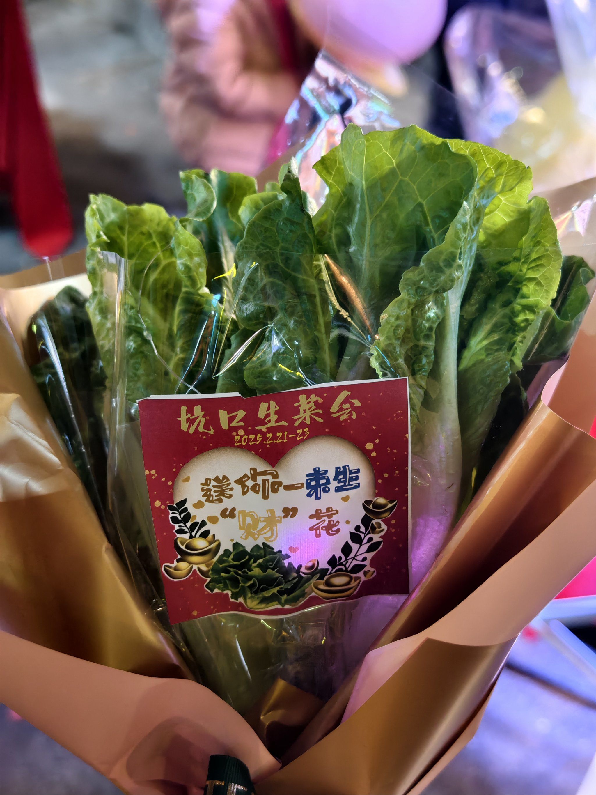 芳村生菜会🥬每年必打卡的"生财"盛宴
