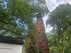 -瑶琳仙境