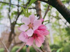 -南长河公园