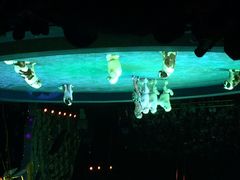 iphone_upload_pic-珠海横琴长隆《卡卡虎奇遇记》