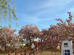 -羊亭河湿地公园