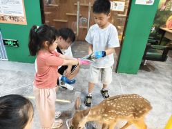-神奇动物撸宠馆·羊驼·小浣熊·异宠(豫园店)