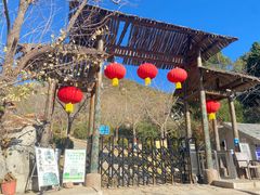 -遵化市禅林寺古银杏风景园