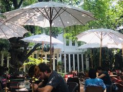 -Fern Forest Cafe
