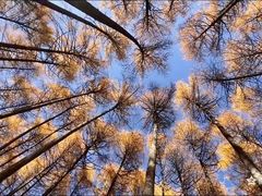 -硗碛藏寨·神木垒景区