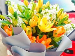 -双季花艺园艺市场(浦东店)